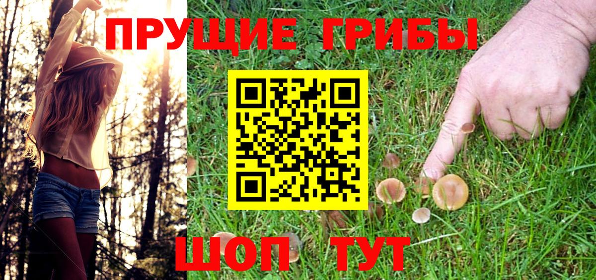 Буйнакск  купить наркоту  Вход с VPN  Псилоцибиновые грибы GOLDEN TEACHER 