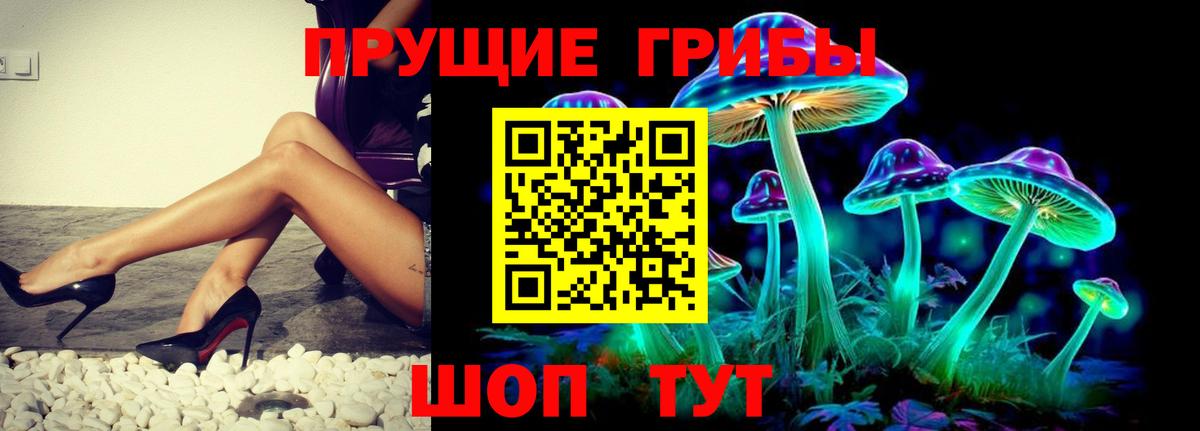 Галлюциногенные грибы MAGIC MUSHROOMS Буйнакск